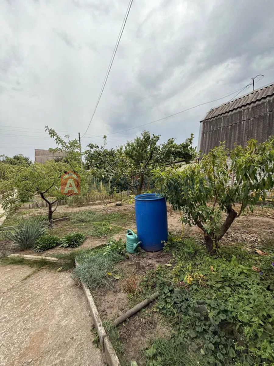 �������, 80 ��.�. ���� 8