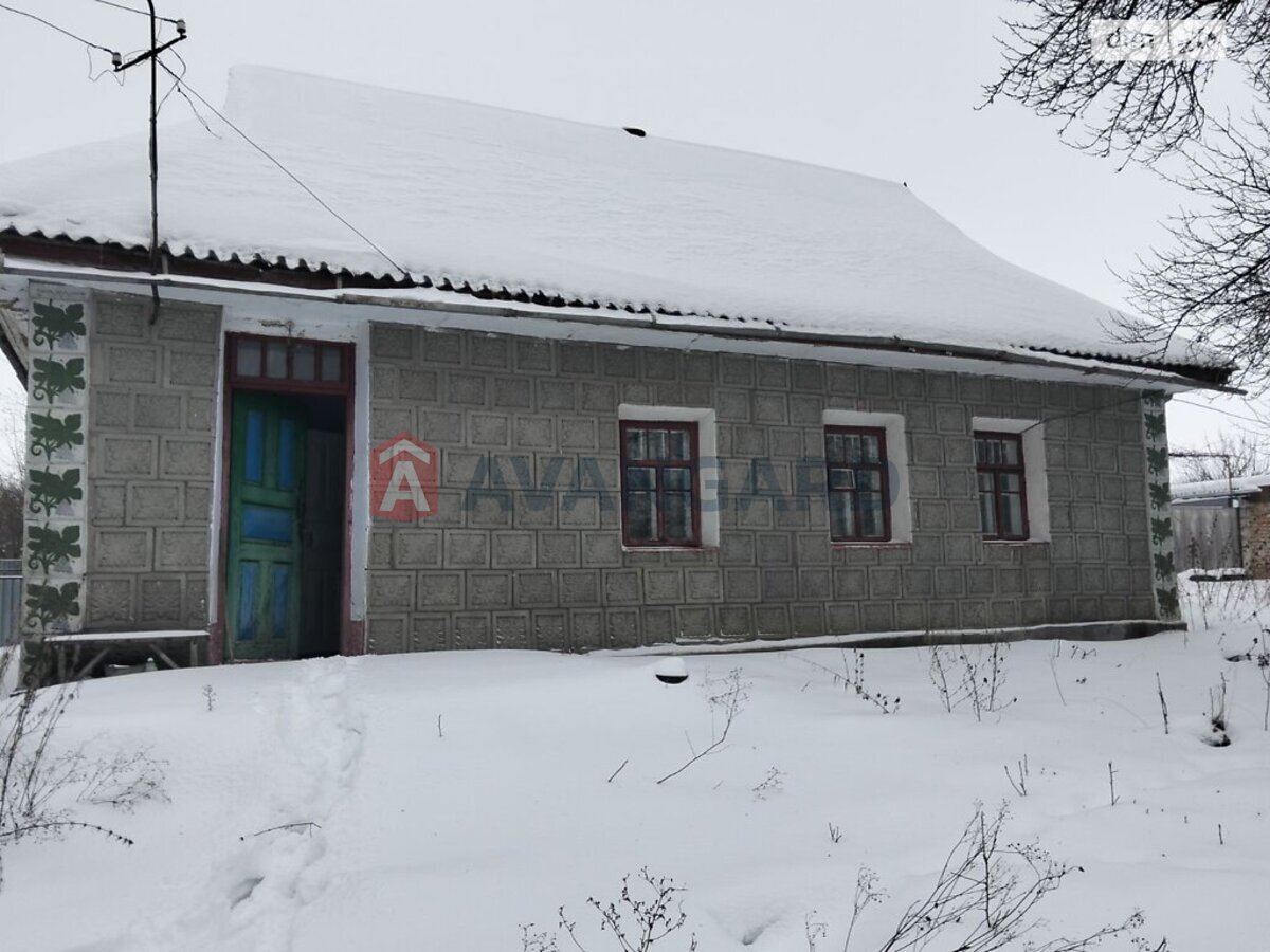 �������, 40 ��.�. ���� 12