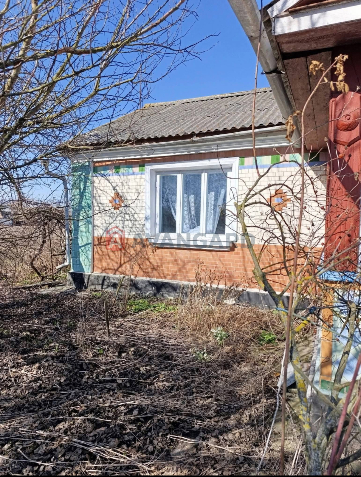 �������, 79 ��.�. ���� 1