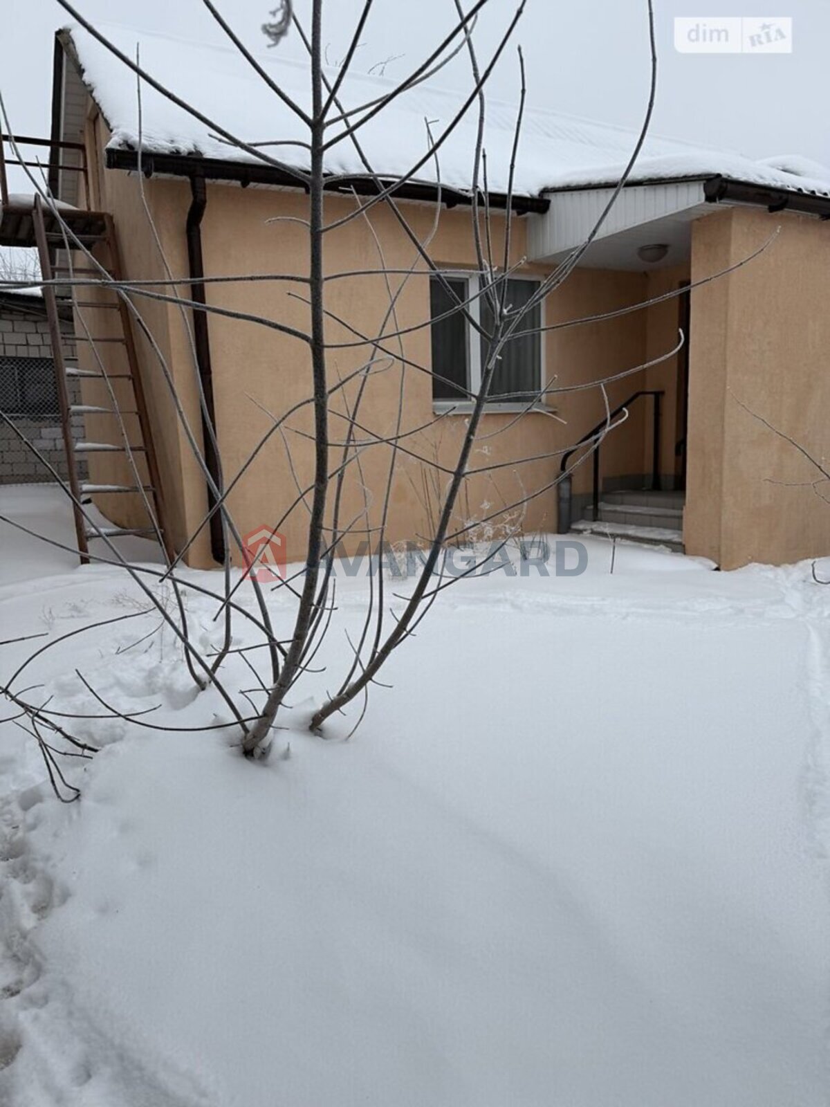 �������, 82 ��.�. ���� 6