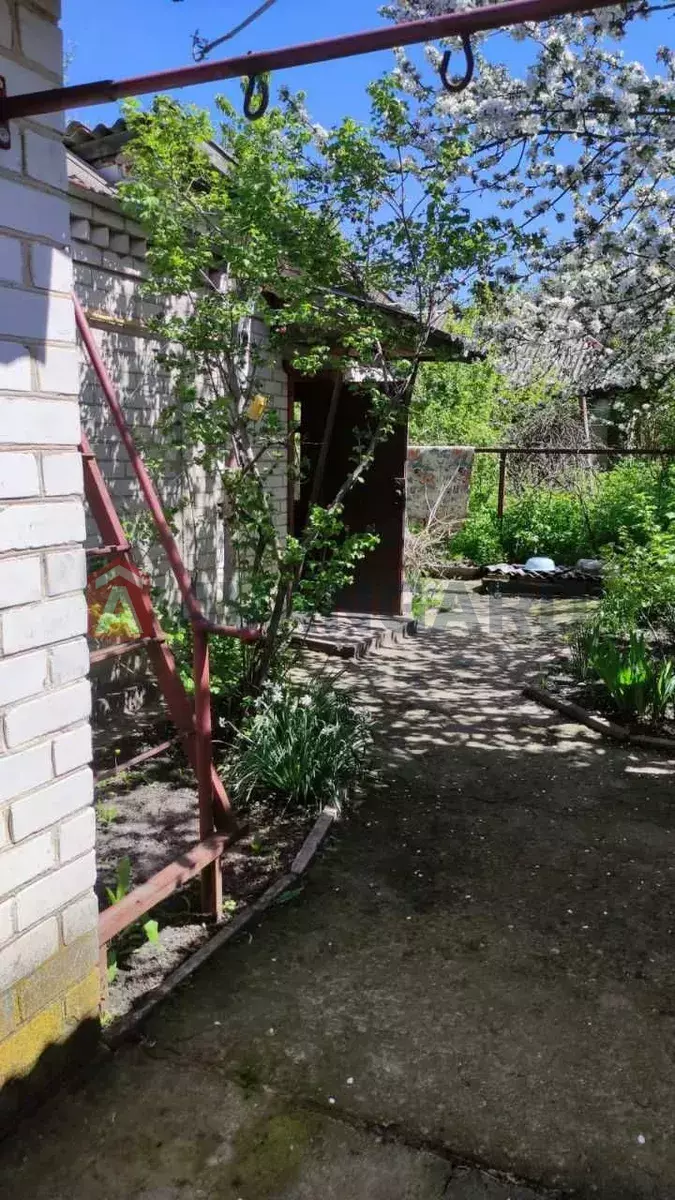 �������, 64 ��.�. ���� 14