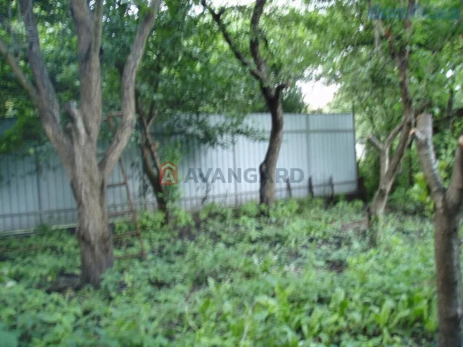 ����, 60 ��.�. ���� 2