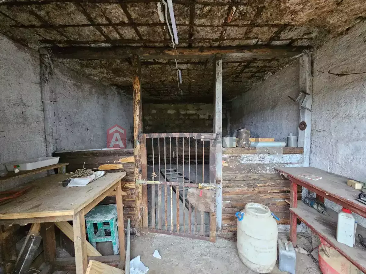 �������, 40 ��.�. ���� 8