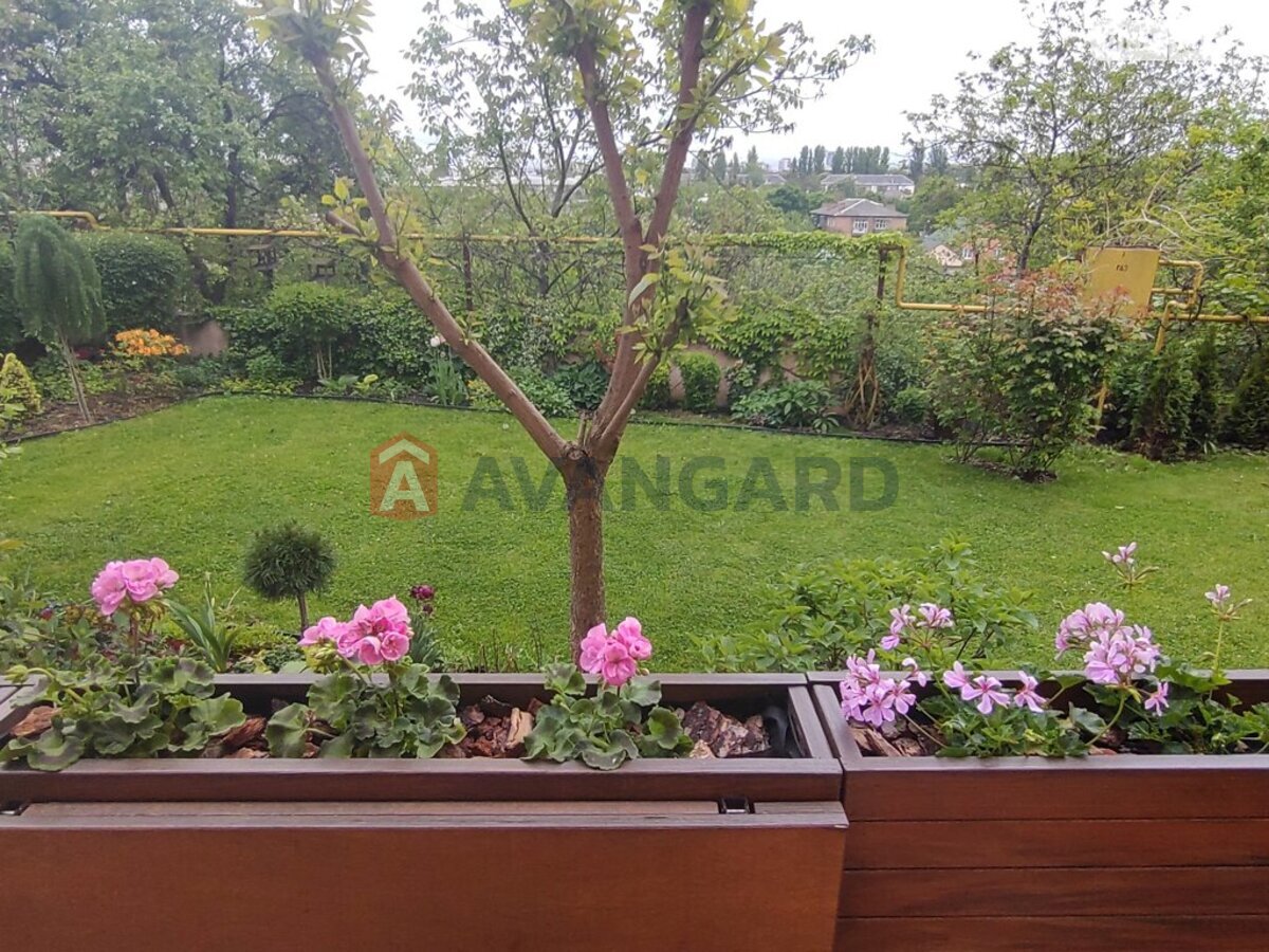 �������, 97 ��.�. ���� 20