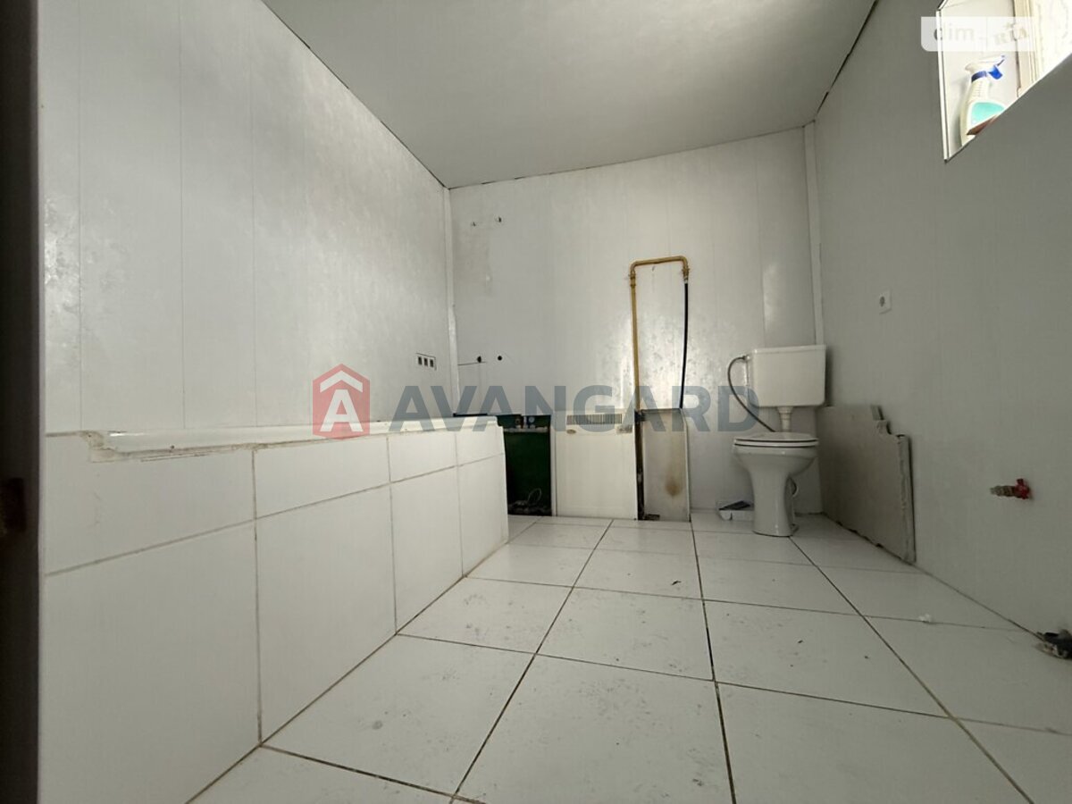 �������, 115 ��.�. ���� 6