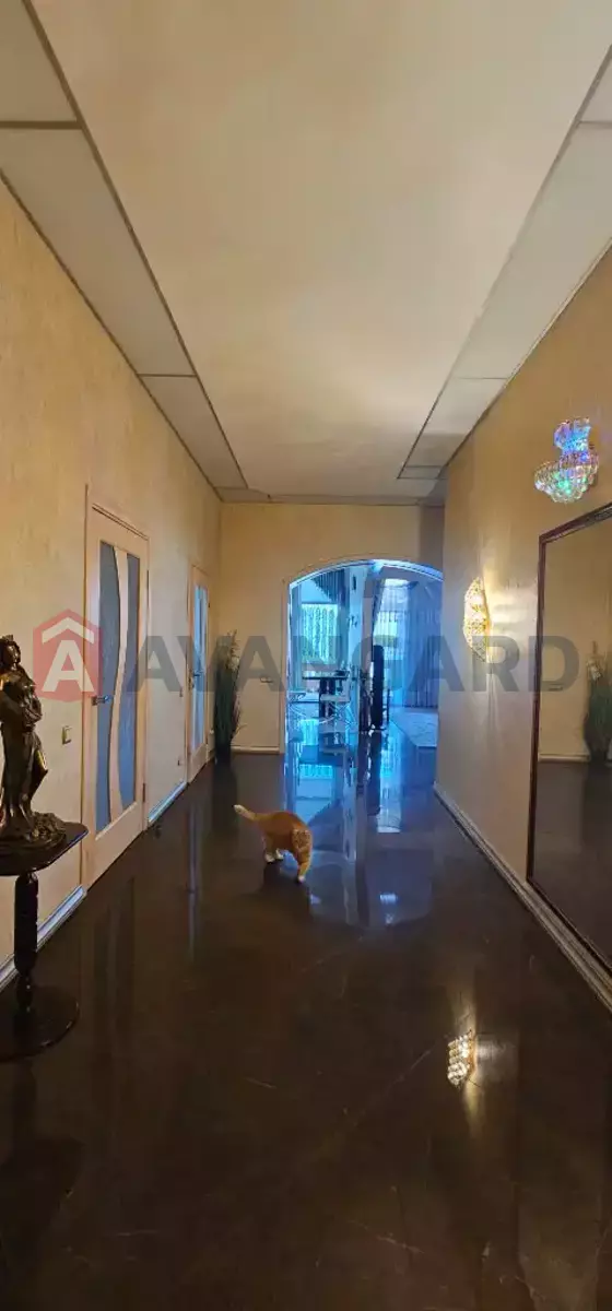 �������, 202 ��.�. ���� 29