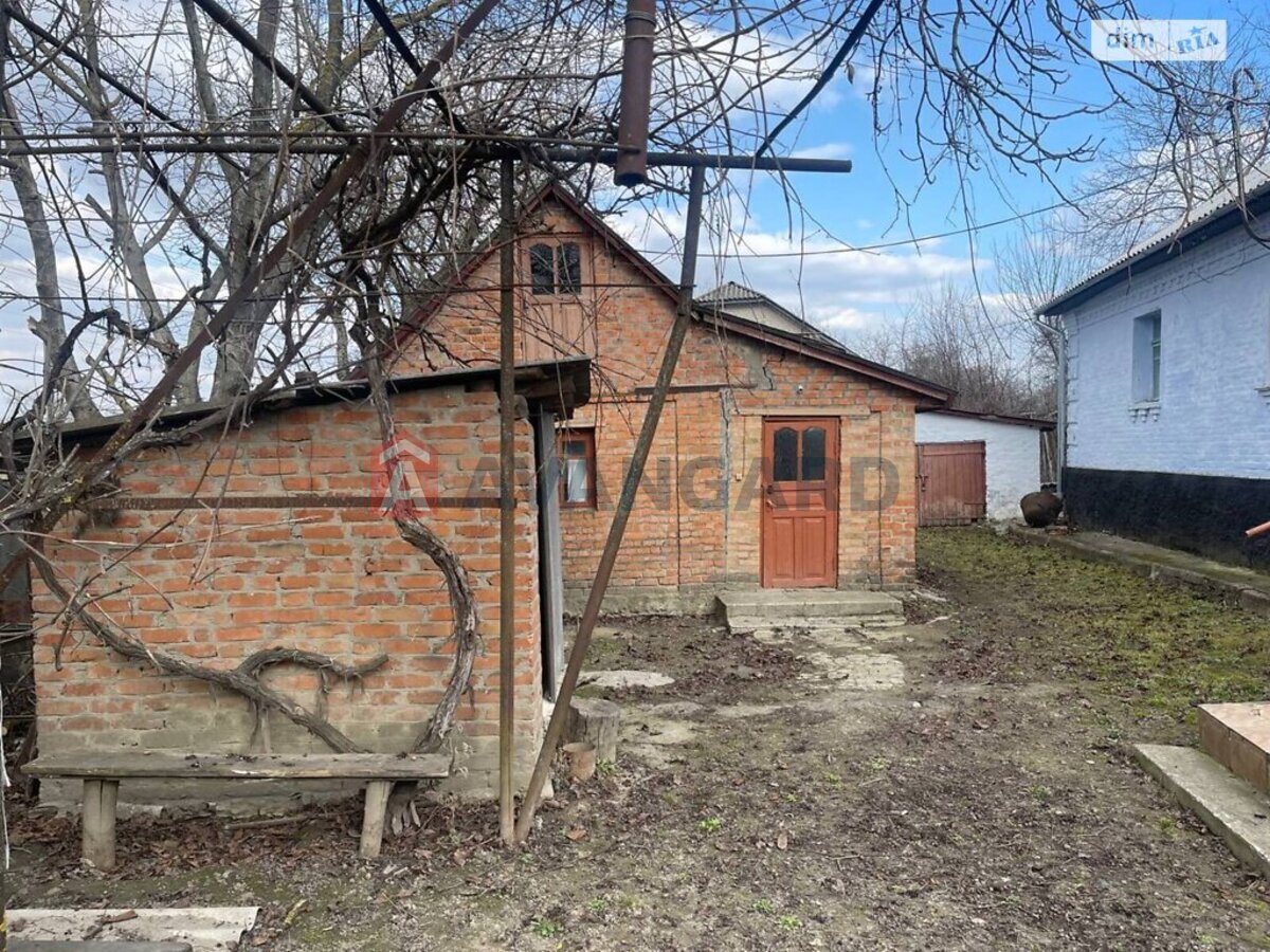 �������, 96 ��.�. ���� 15