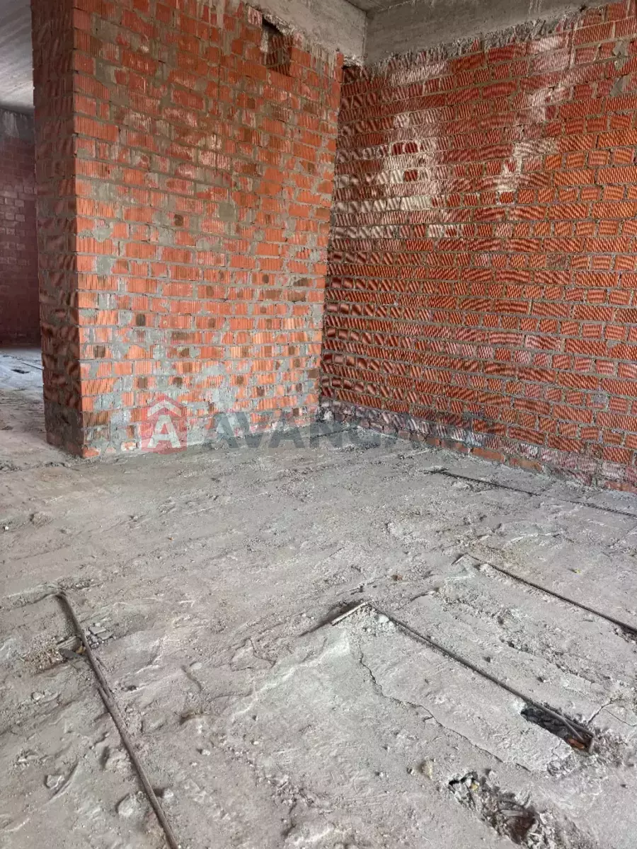 206 ��.�. ���� 11