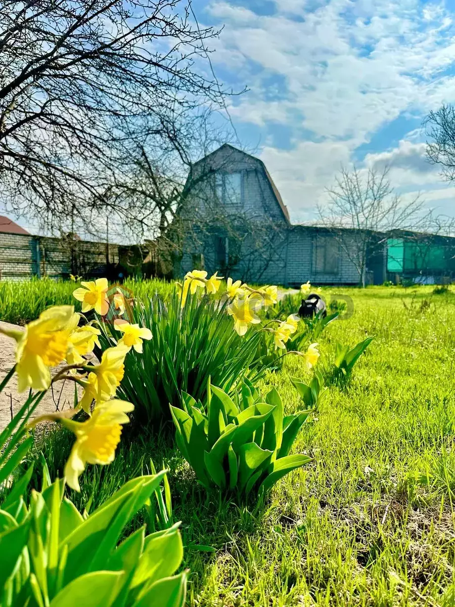 ����, 60 ��.�. ���� 9