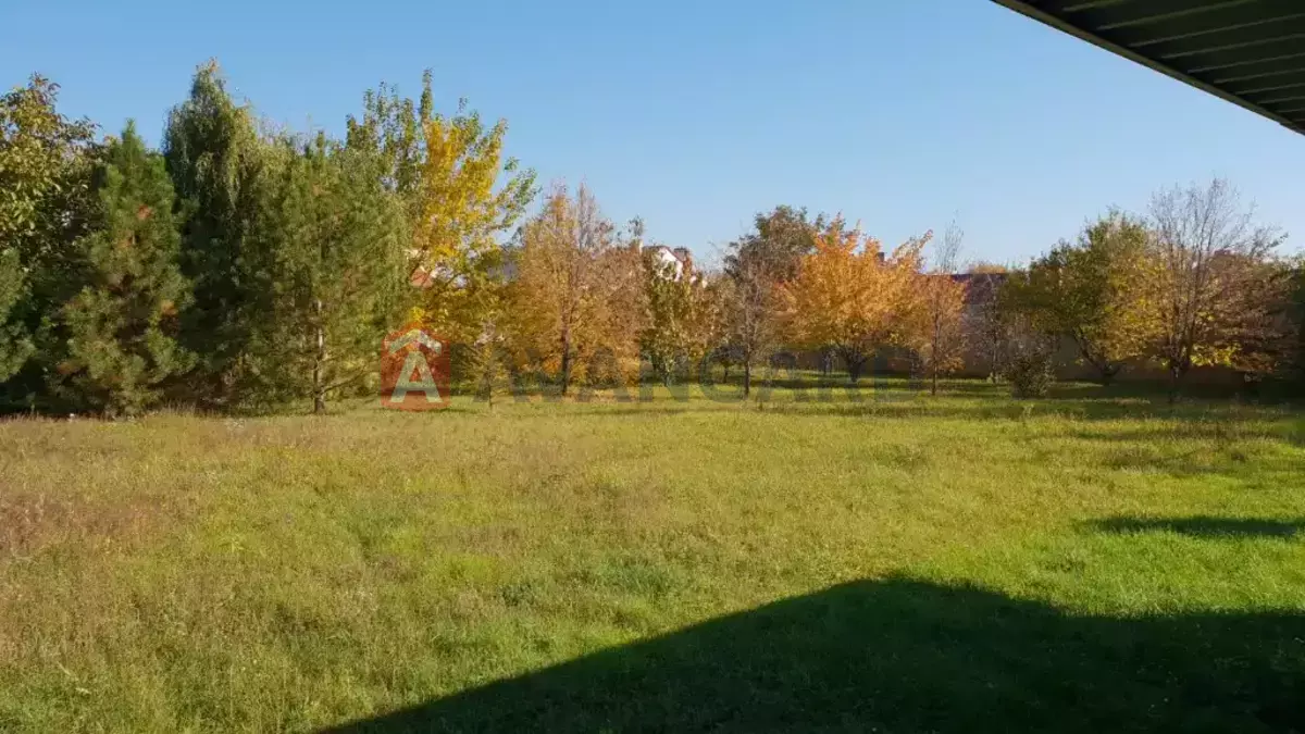 �������, 450 ��.�. ���� 3