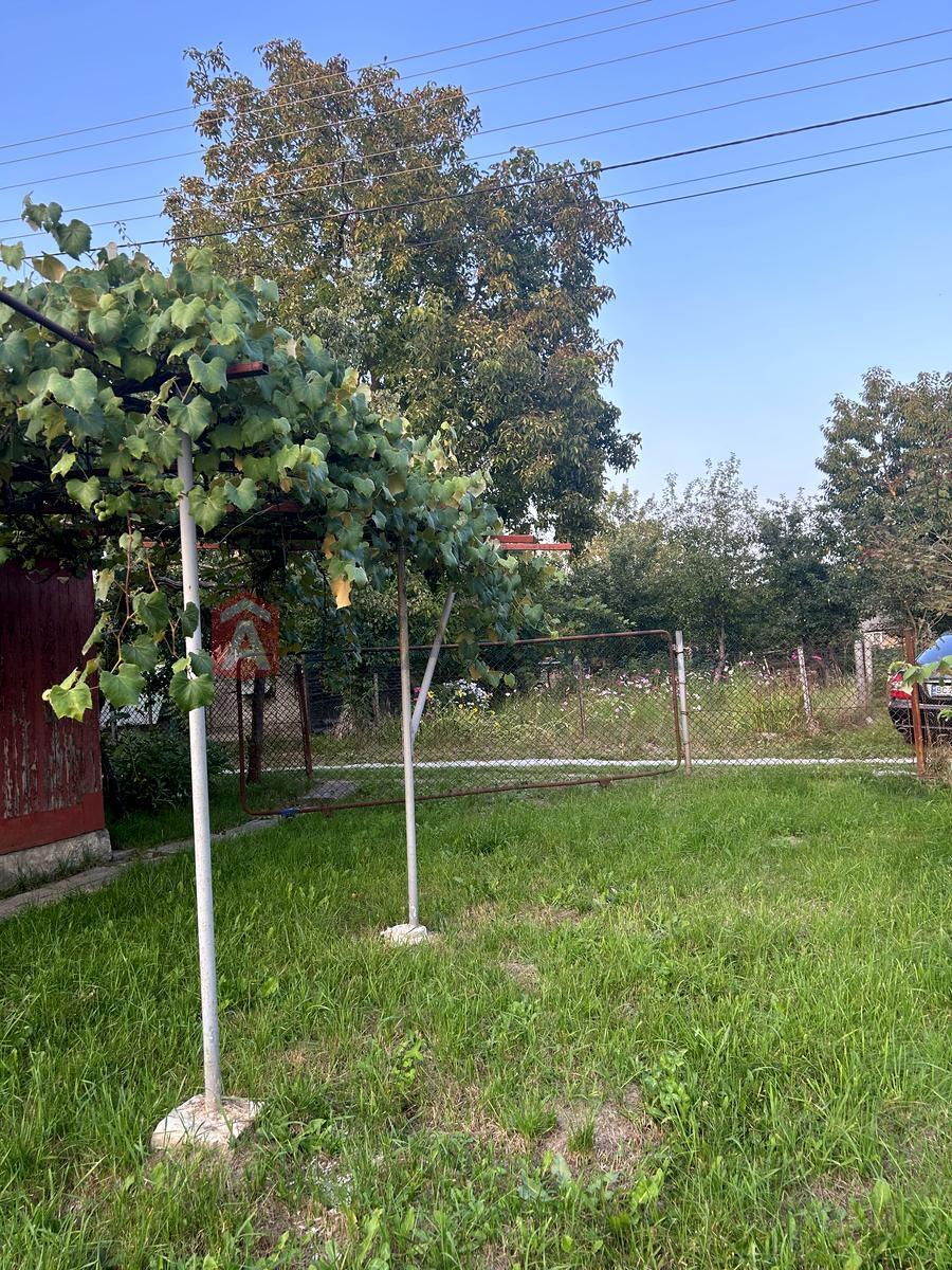 ����, 30 ��.�. ���� 8