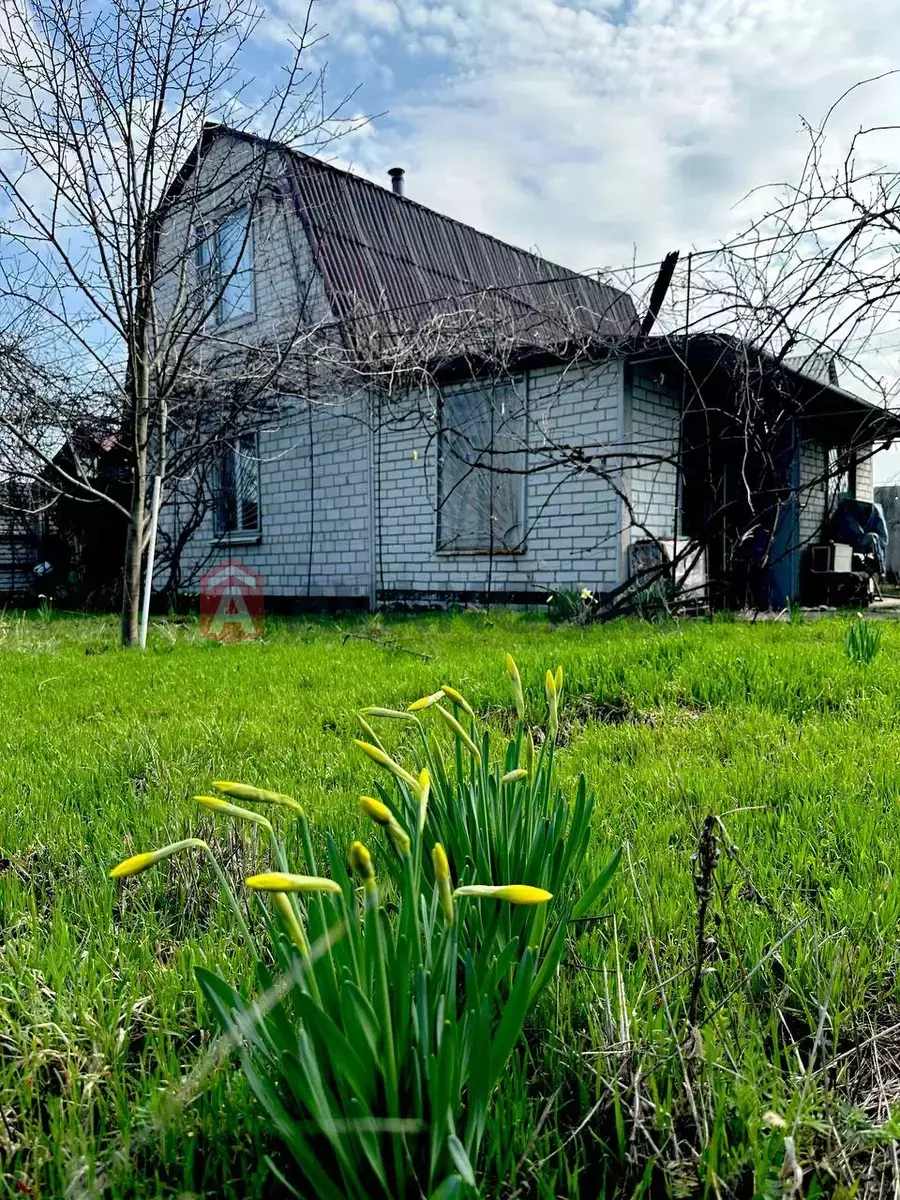 ����, 60 ��.�. ���� 16