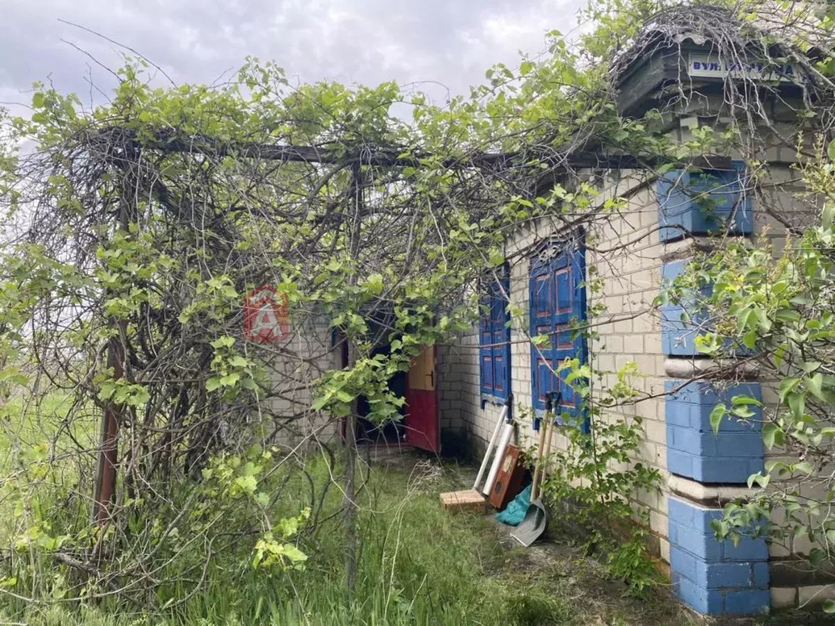 �������, 60 ��.�. ���� 8