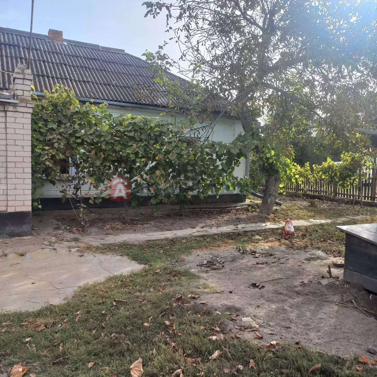 �������, 58 ��.�. ���� 8