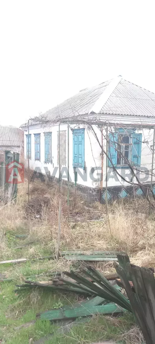 ������� �������, 50 ��.�. ���� 1