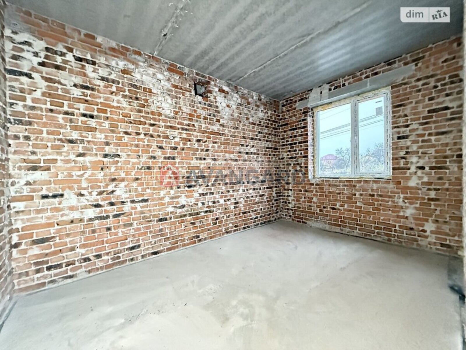 �������, 115 ��.�. ���� 5