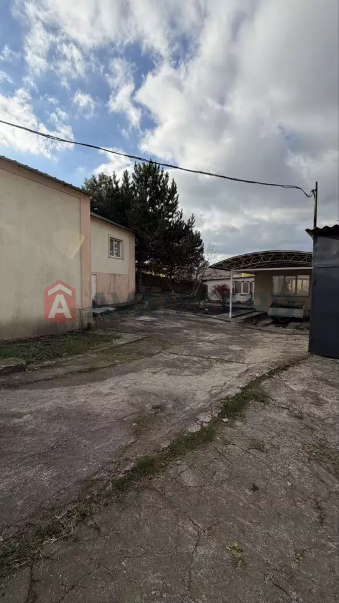 �������, 200 ��.�. ���� 5