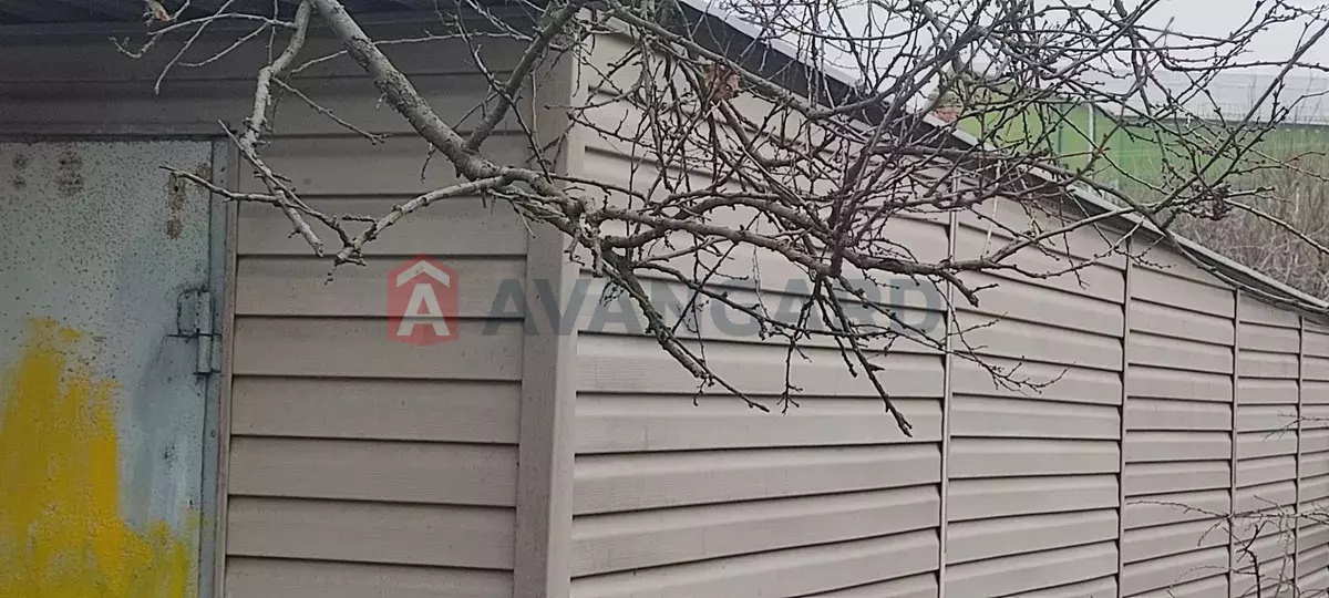 ���, 7 ��.�. ���� 3