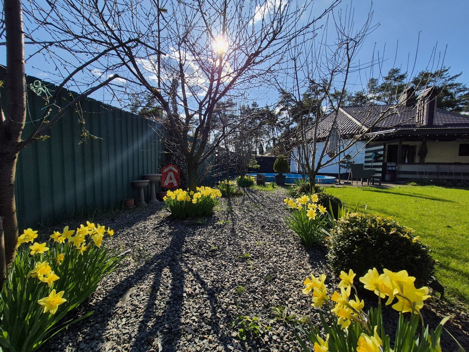 �������, 105 ��.�. ���� 2