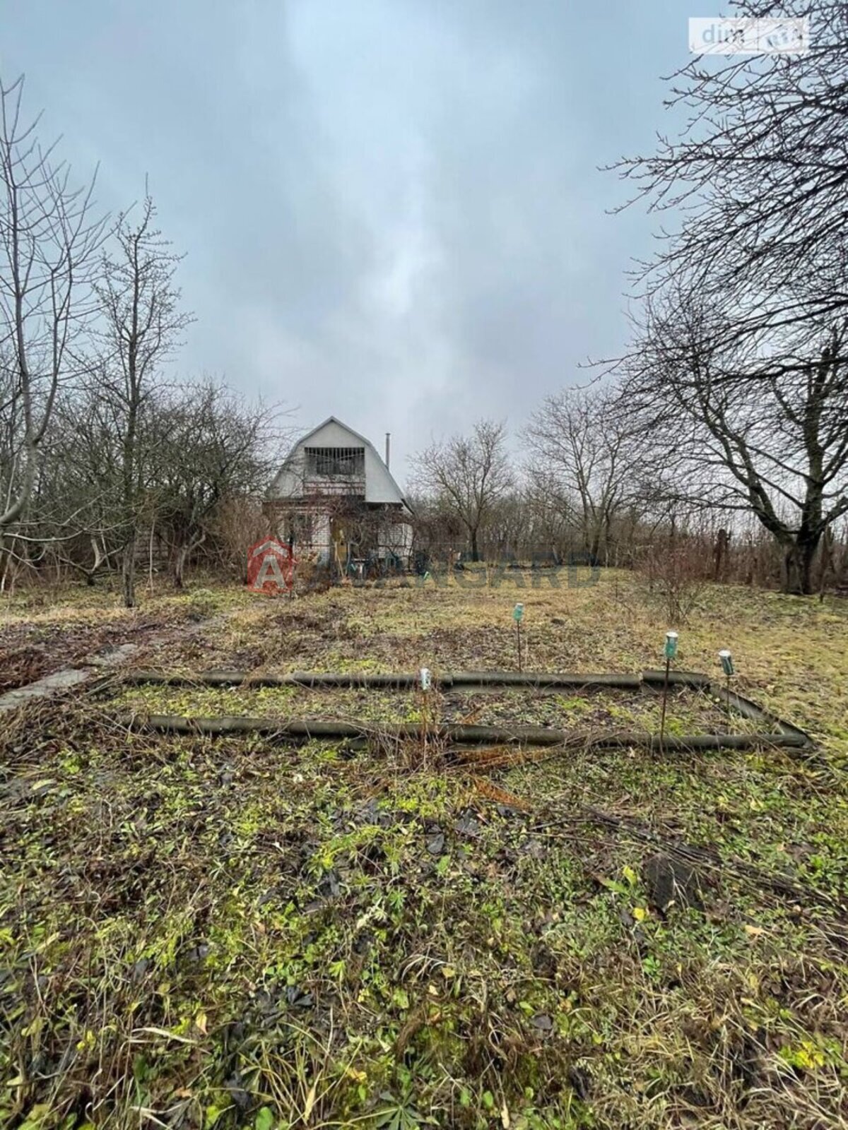 �������, 49 ��.�. ���� 12