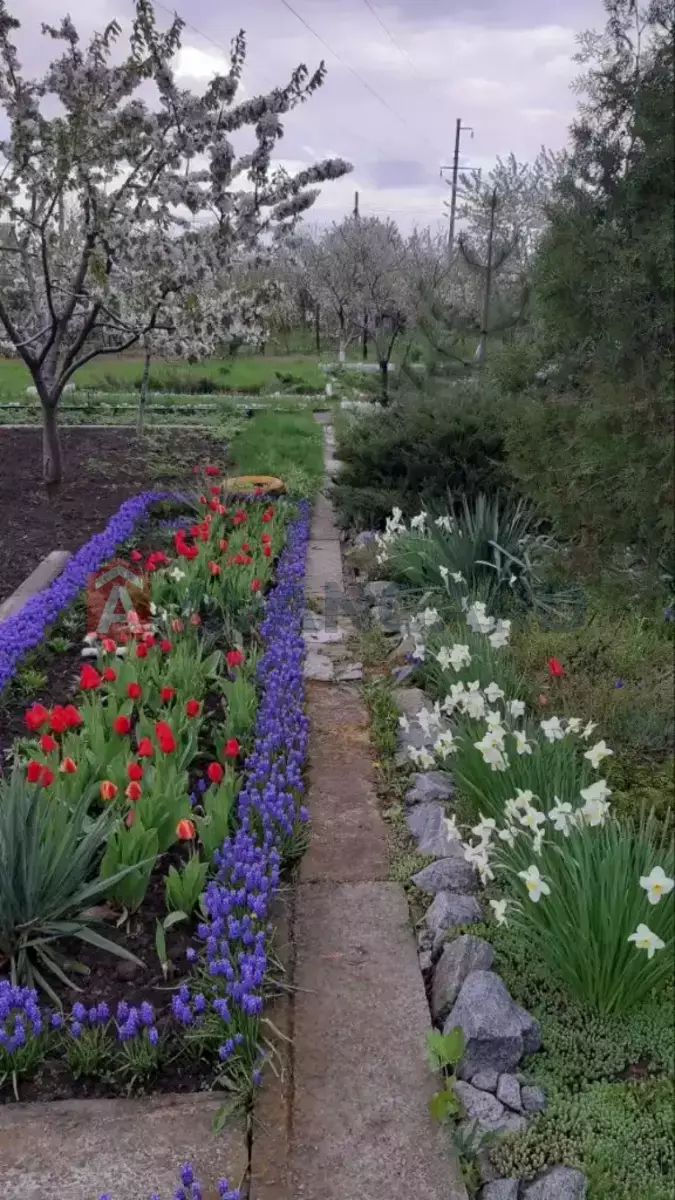 ����, 30 ��.�. ���� 8