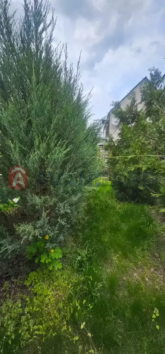 ����, 150 ��.�. ���� 2
