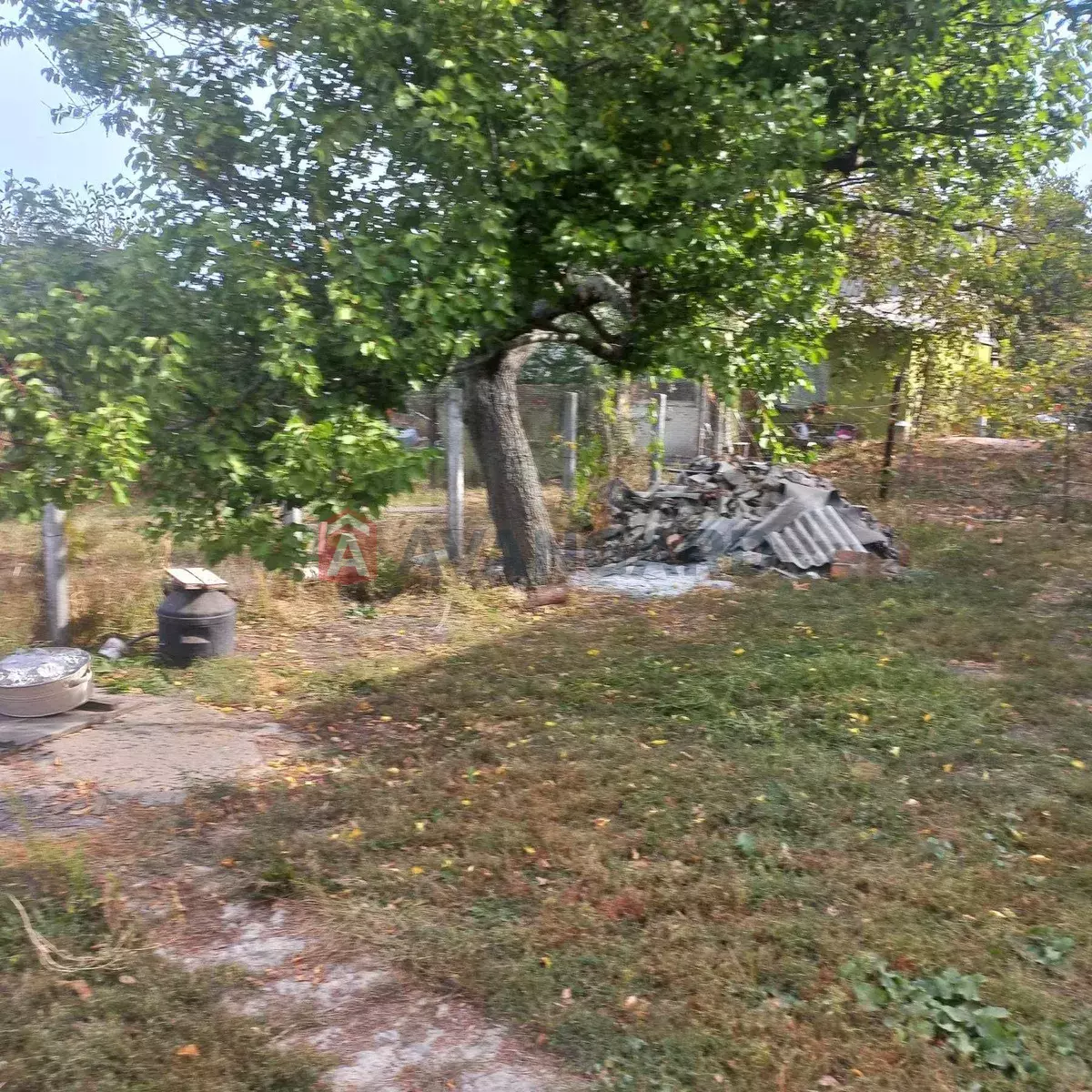 �������, 58 ��.�. ���� 10