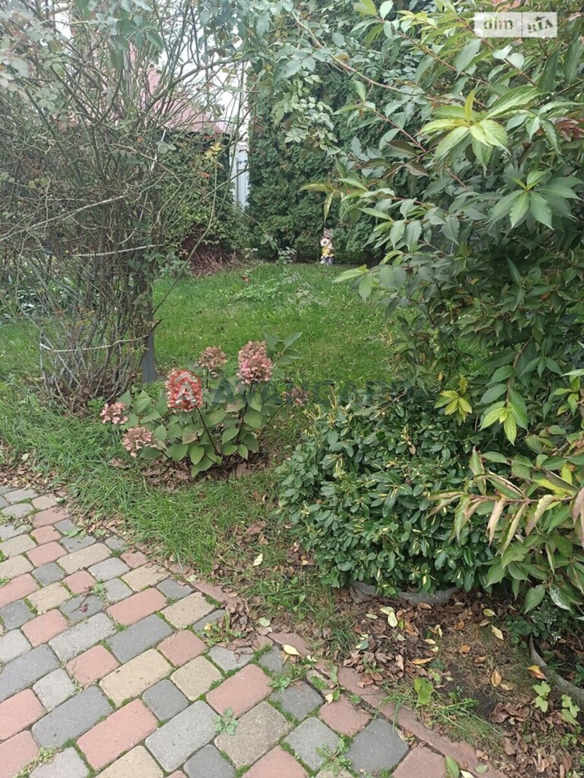 ���, 84 ��.�. ���� 25