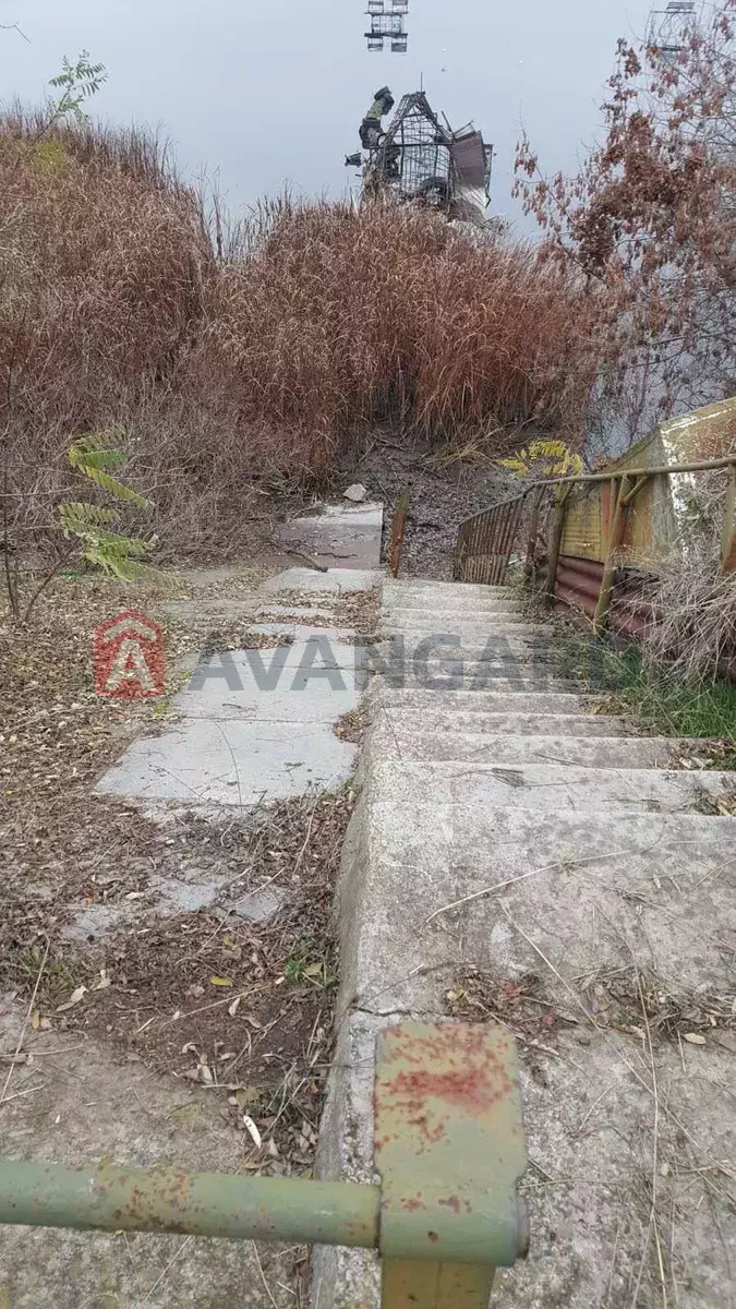 ����, 100 ��.�. ���� 5