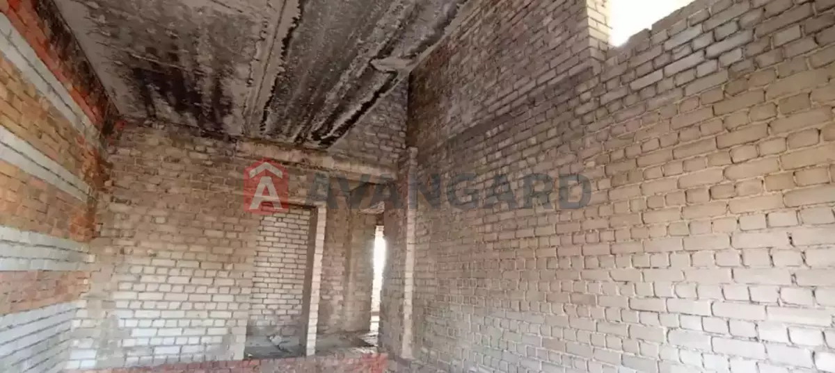 �������, 270 ��.�. ���� 10