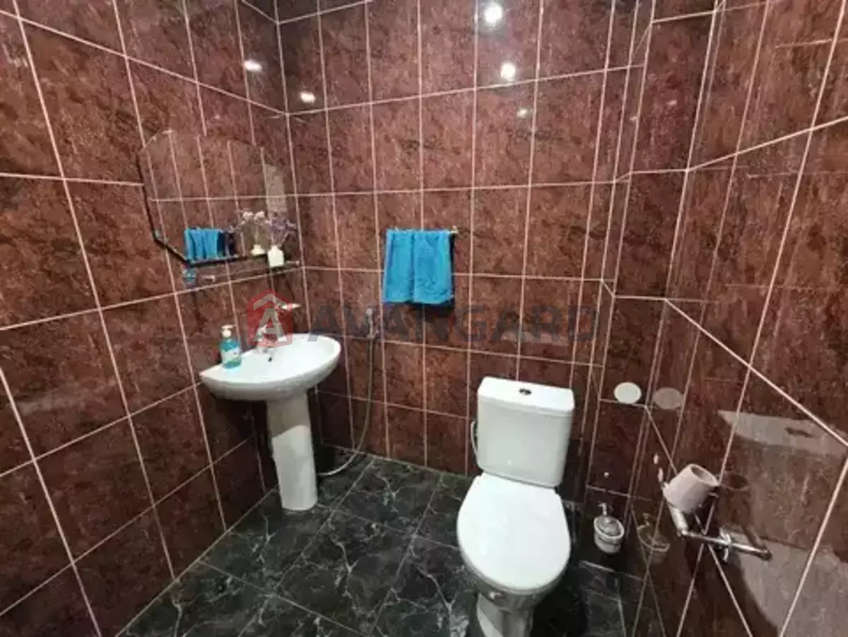 �������, 230 ��.�. ���� 10