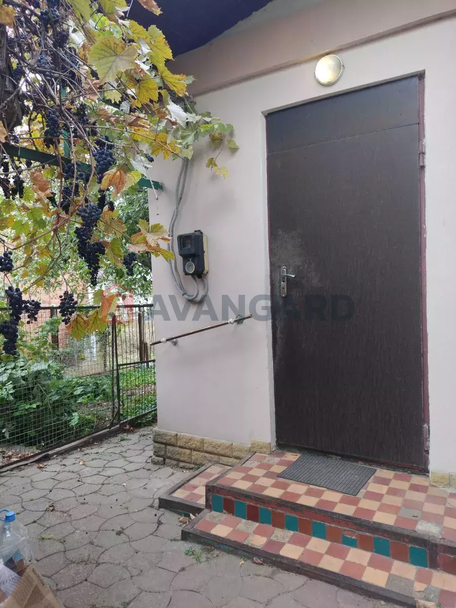 �������, 67 ��.�. ���� 5