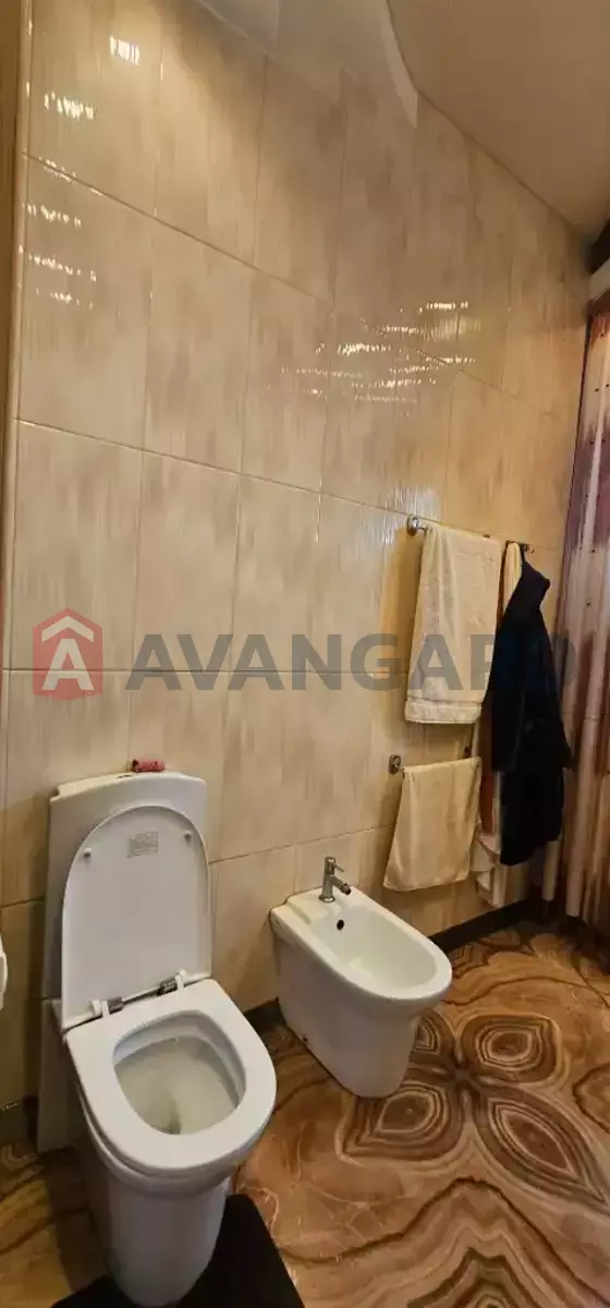 �������, 202 ��.�. ���� 17