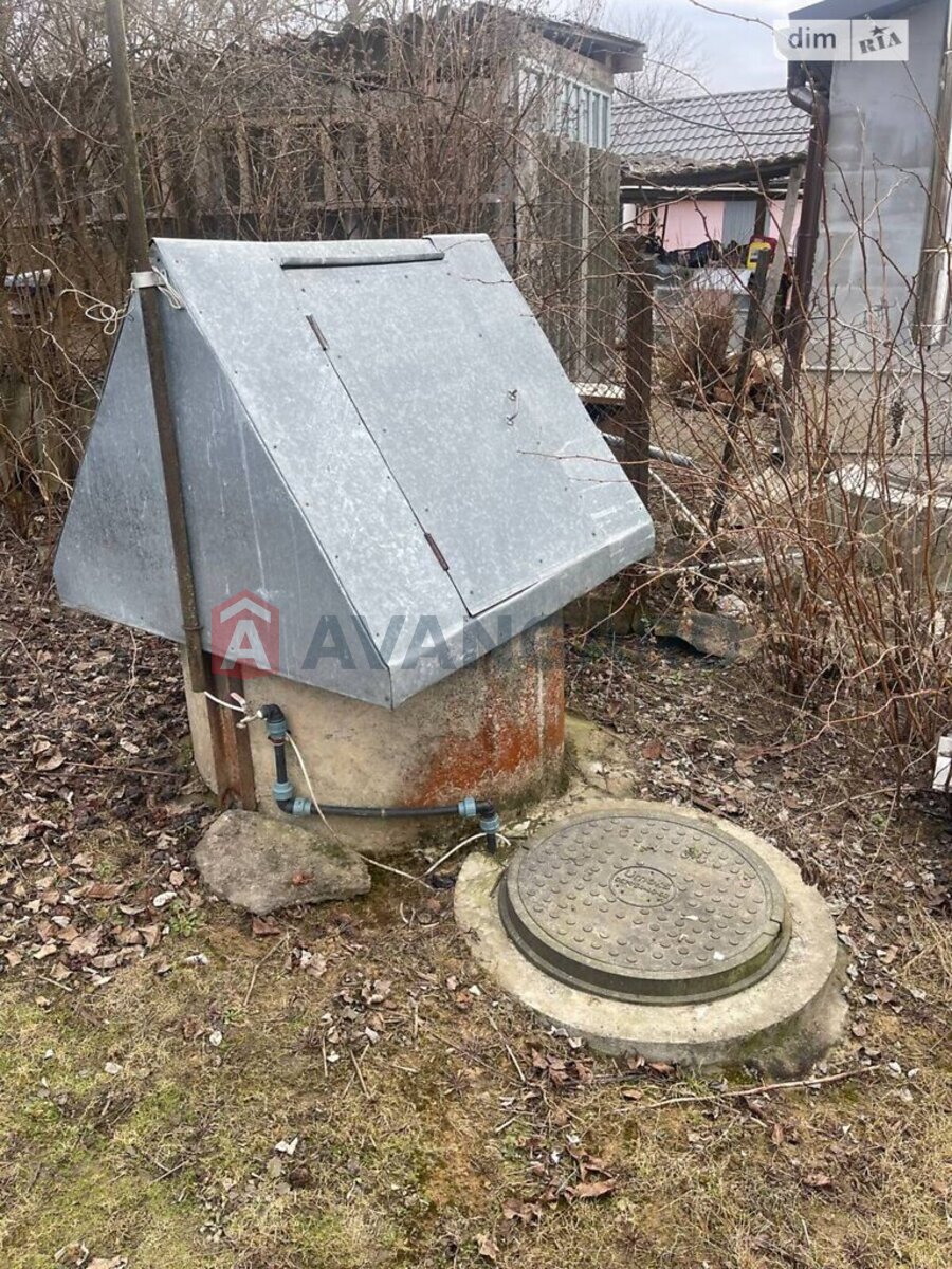 �������, 96 ��.�. ���� 10