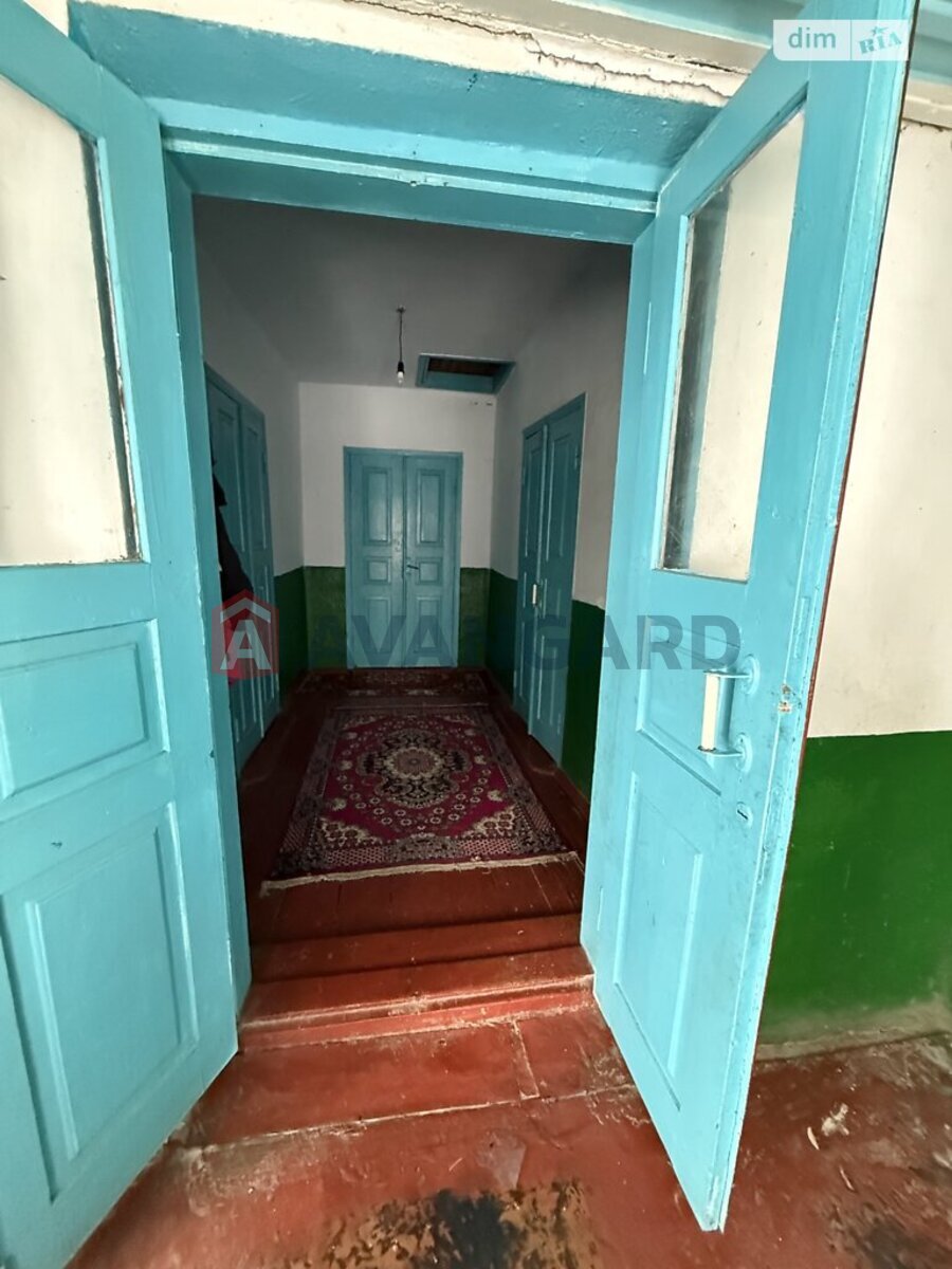 �������, 115 ��.�. ���� 13