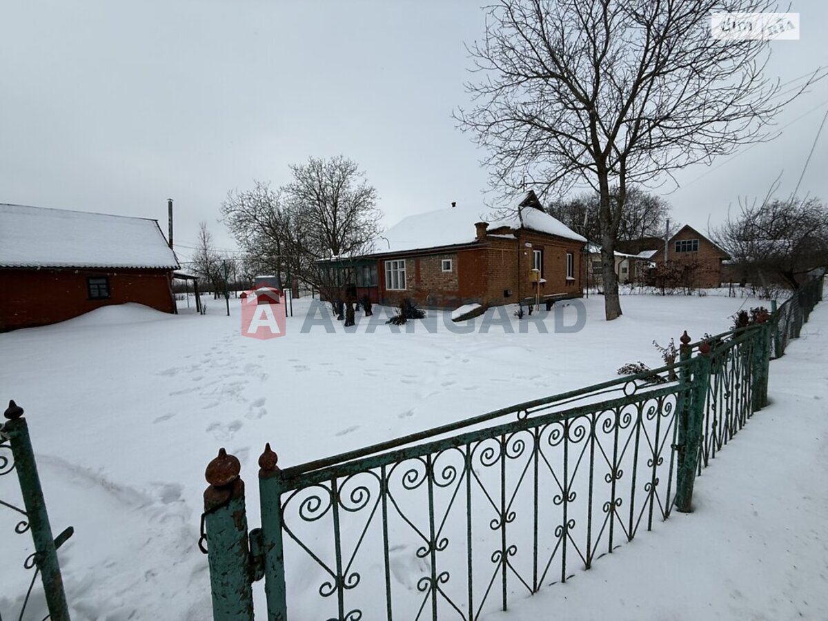 �������, 115 ��.�. ���� 2