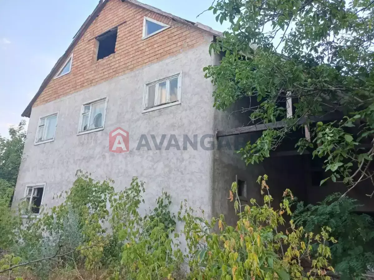 �������, 305 ��.�. ���� 1