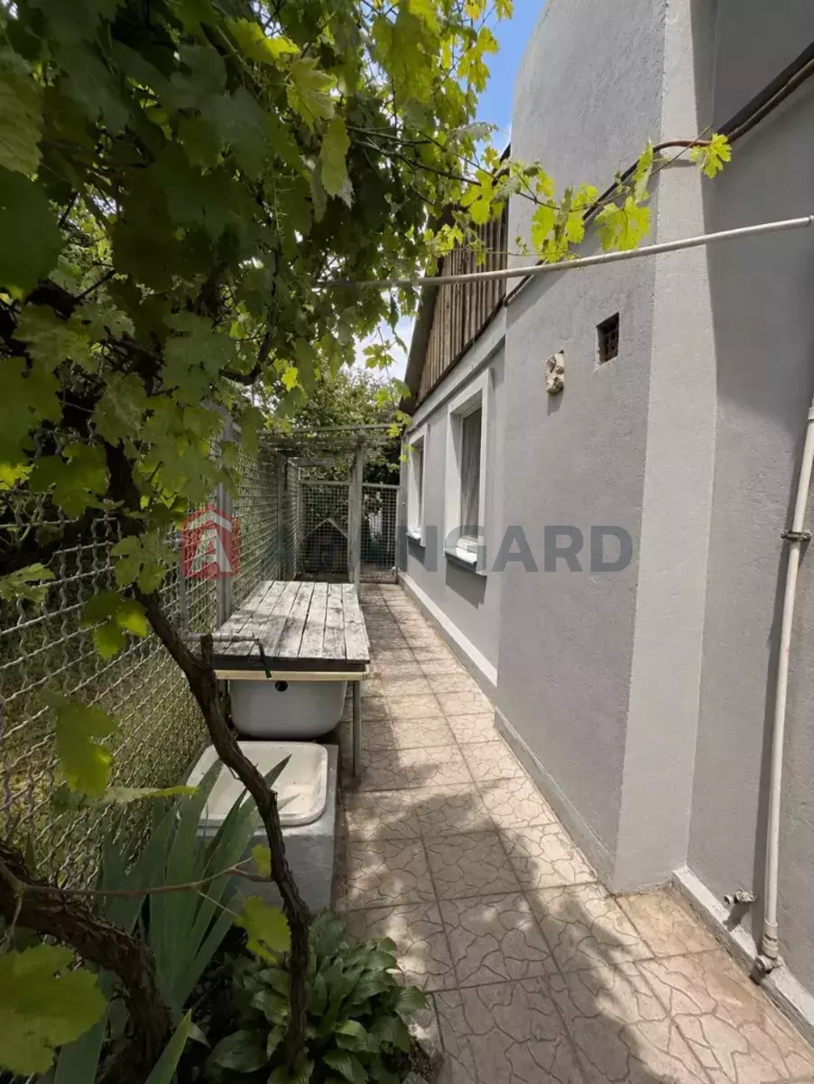 �������, 37 ��.�. ���� 4