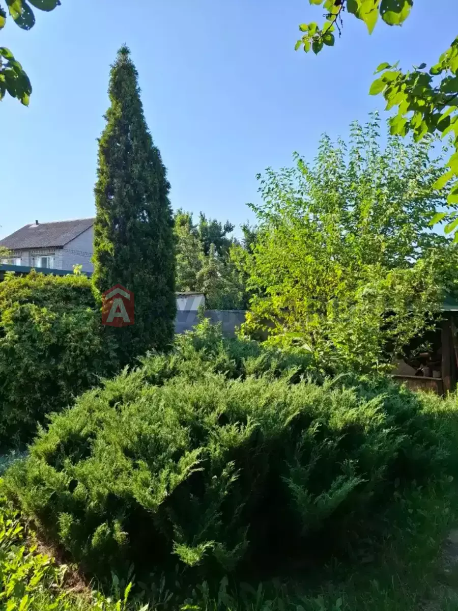 �������, 122 ��.�. ���� 7