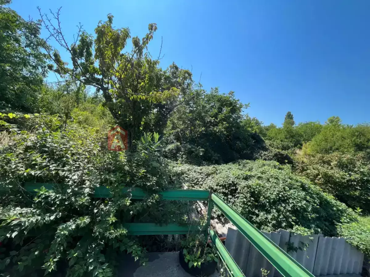 ����, 48 ��.�. ���� 8