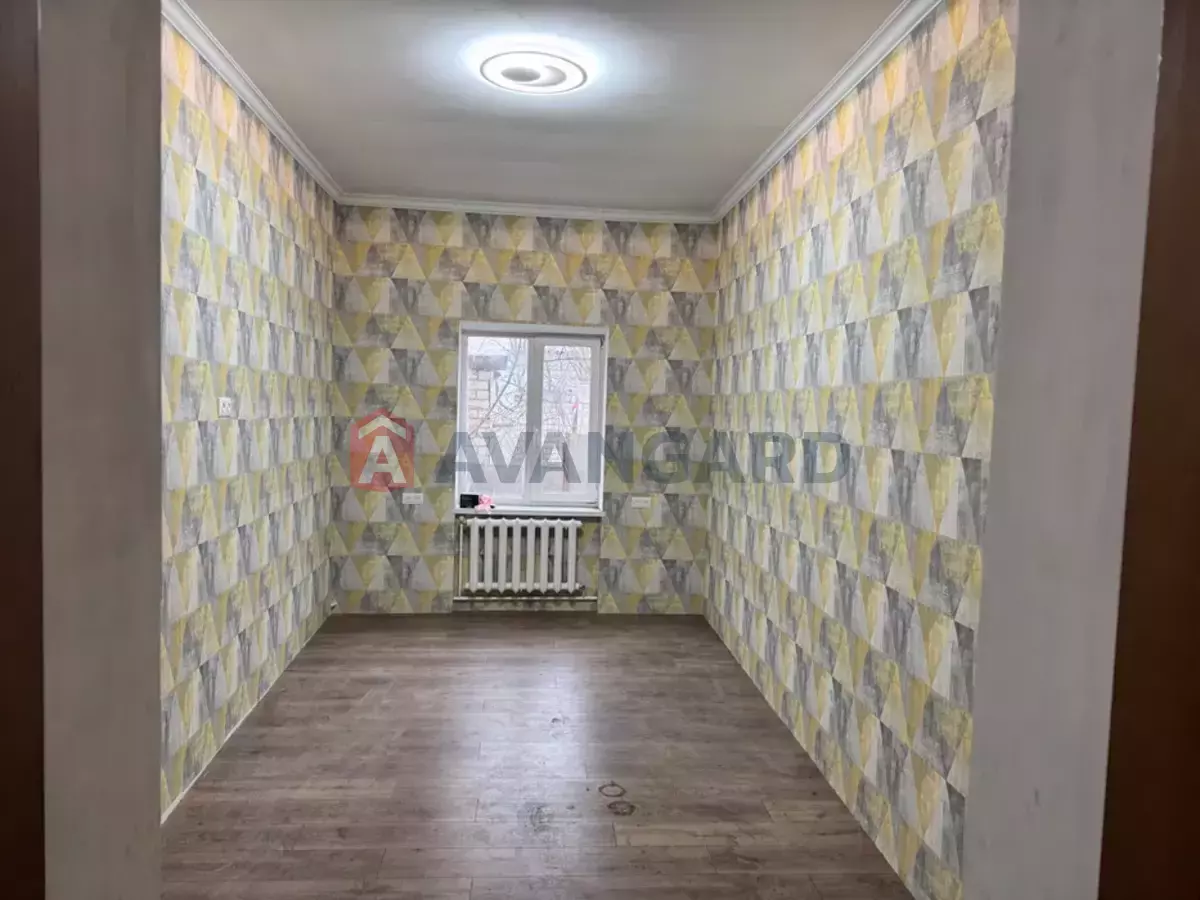 �������, 115 ��.�. ���� 11