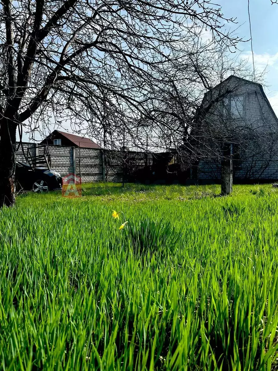 ����, 60 ��.�. ���� 4