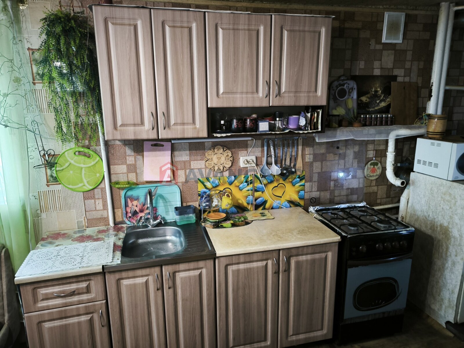 �������, 138 ��.�. ���� 13