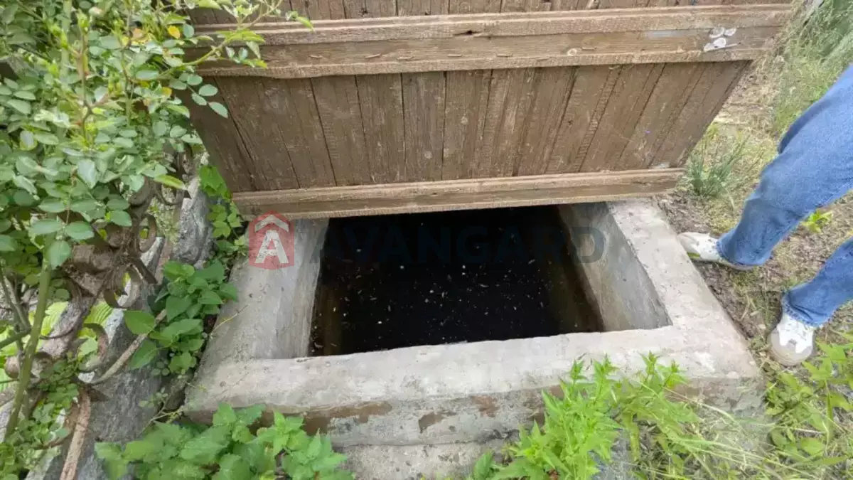 ����, 29 ��.�. ���� 10