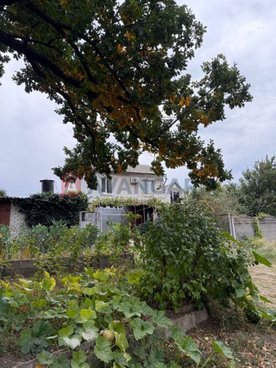 �������, 80 ��.�. ���� 3