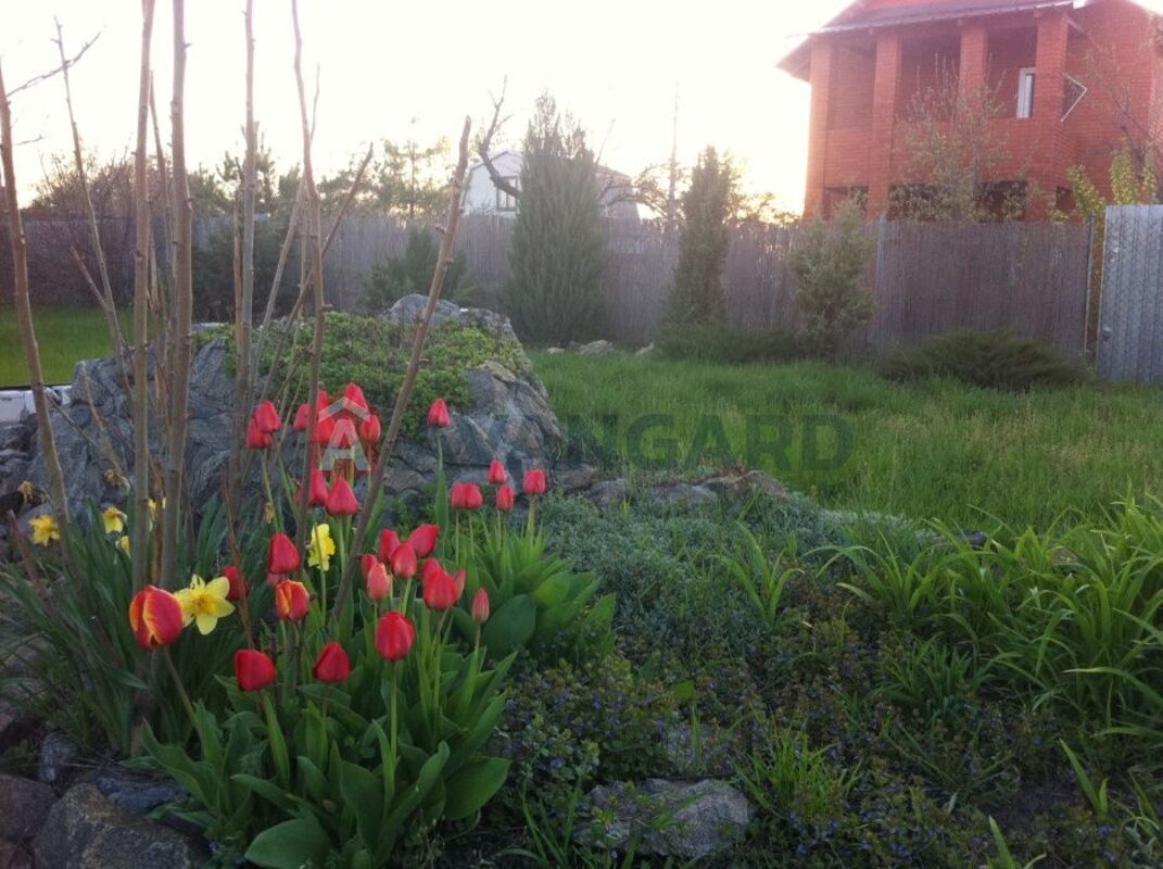 �������, 80 ��.�. ���� 3