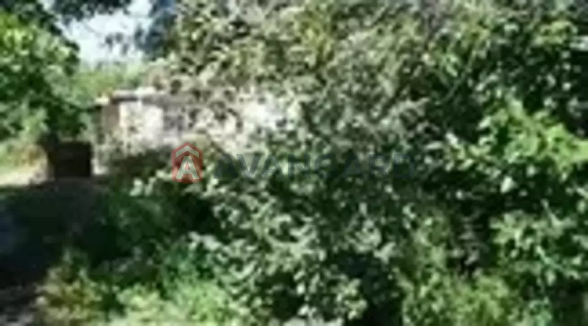 ���, 45 ��.�. ���� 6