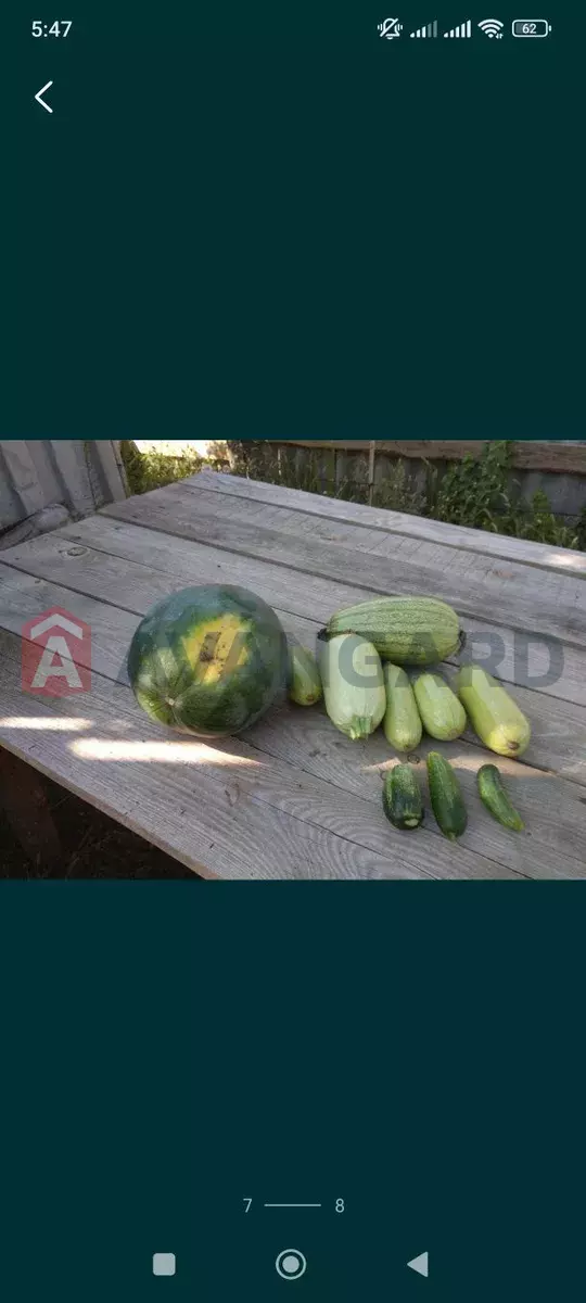 ����, 10 ��.�. ���� 10