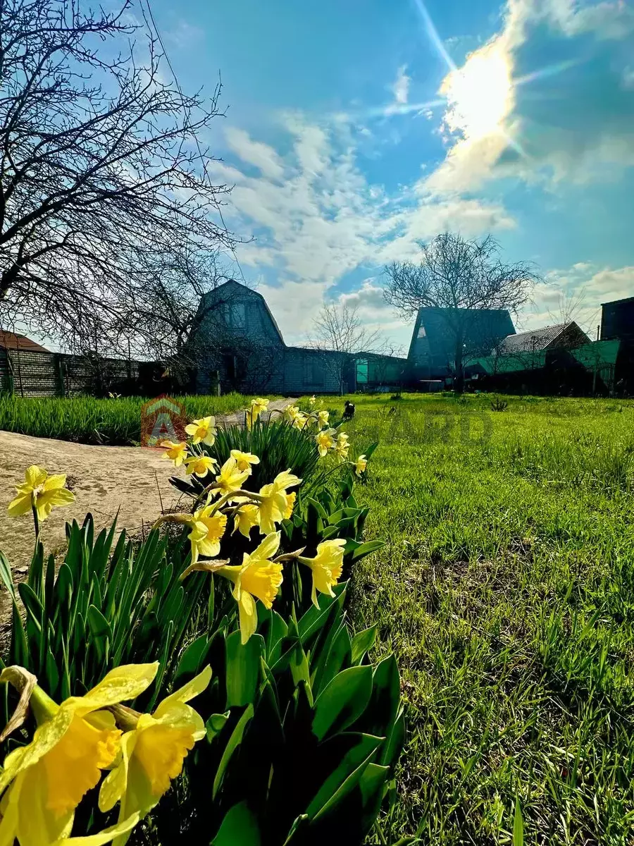 ����, 60 ��.�. ���� 8