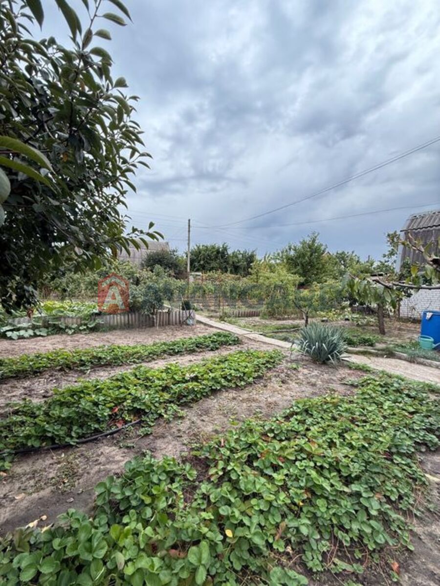 �������, 80 ��.�. ���� 6